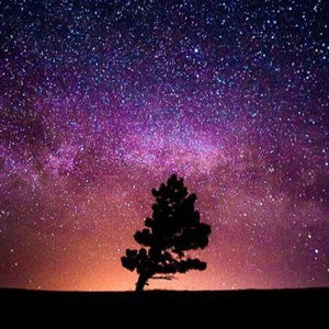 Meet your Posher, Madeleine